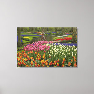 Tulip and hyacinth garden, Keukenhof Gardens, Canvas Print
