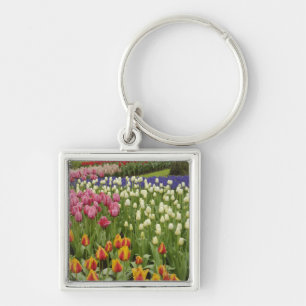 Tulip and hyacinth garden, Keukenhof Gardens, Key Ring