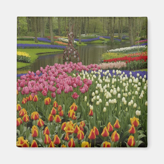 Tulip and hyacinth garden, Keukenhof Gardens, Magnet (Front)