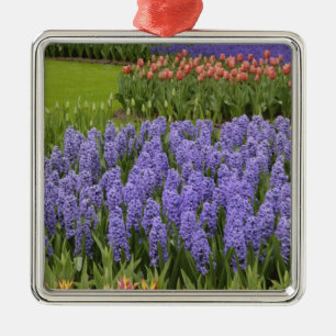 Tulip and Hyacinth garden, Keukenhof Gardens, Metal Tree Decoration