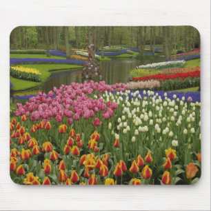 Tulip and hyacinth garden, Keukenhof Gardens, Mouse Mat