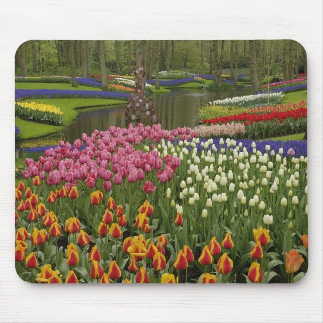 Tulip and hyacinth garden, Keukenhof Gardens, Mouse Mat (Front)