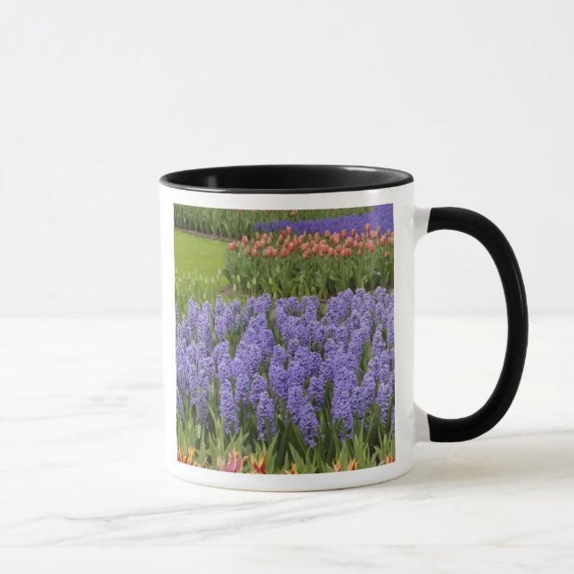 Tulip and Hyacinth garden, Keukenhof Gardens, Mug (Right)