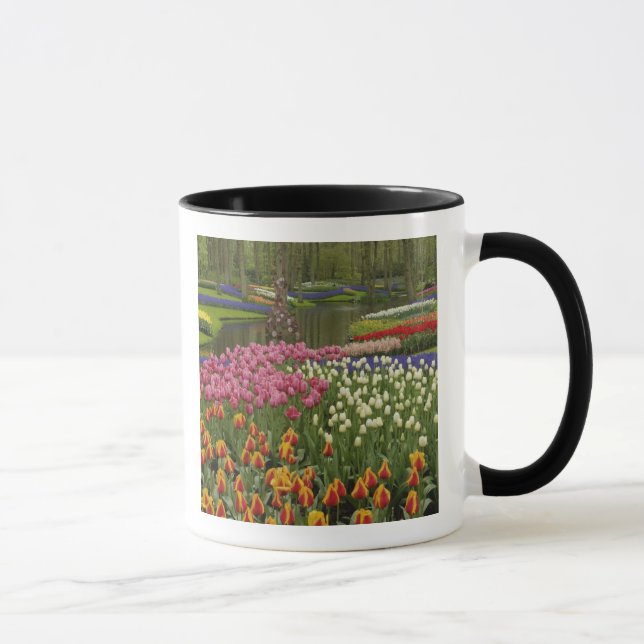 Tulip and hyacinth garden, Keukenhof Gardens, Mug (Right)