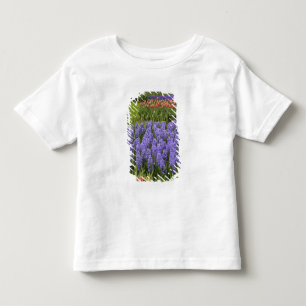 Tulip and Hyacinth garden, Keukenhof Gardens, Toddler T-Shirt