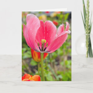Tulip Blank Greeting Card