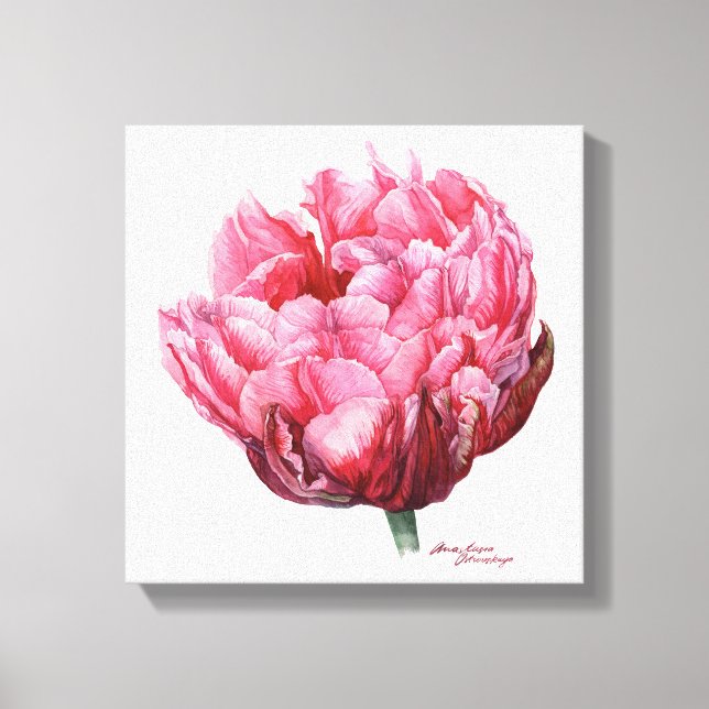 Tulip. Botanical watercolor Canvas Print (Front)