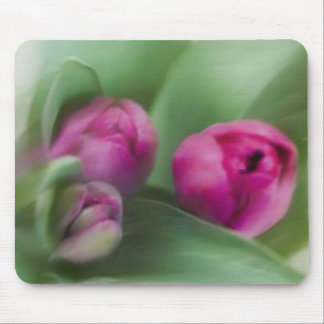 Tulip Bouquet Mouse Mat