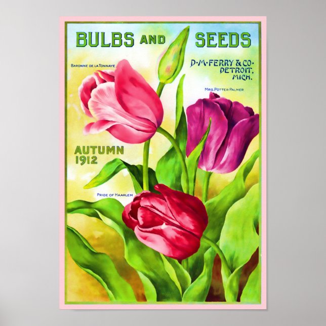 Tulip Bulbs Catalog Illustration Poster (Front)