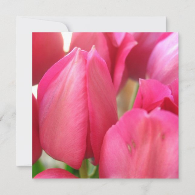 Tulip Bulbs Invitations (Front)