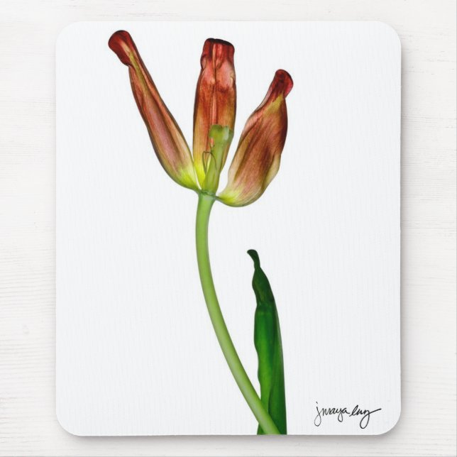 "Tulip" by J. Maya Luz Mouse Mat (Front)
