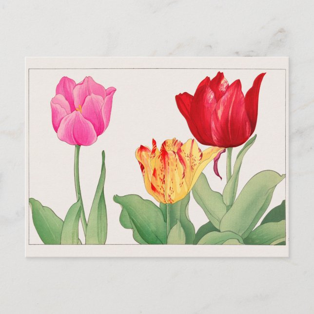 Tulip by Tanigami Konan Postcard (Front)