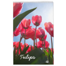 Tulip calendar
