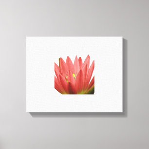 Tulip Canvas Print