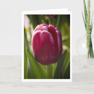 Tulip Card