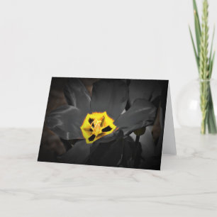 Tulip, card