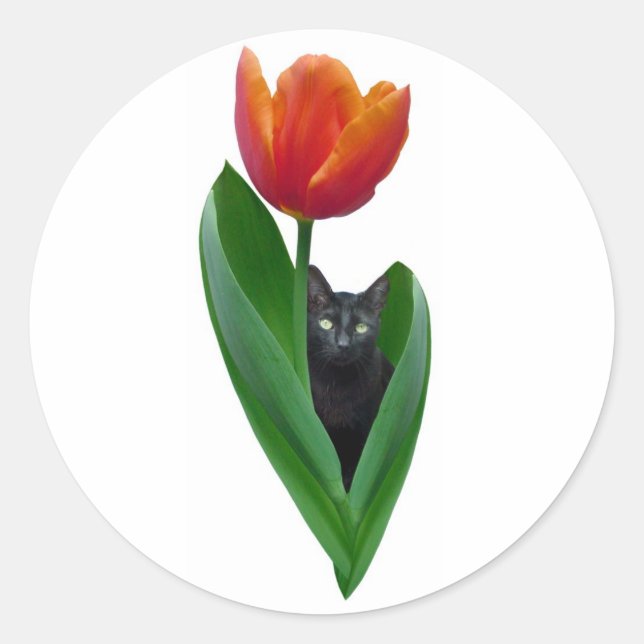 Tulip Cat Sticker (Front)