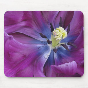 Tulip close-up, Keukenhof Gardens, Lisse, 2 Mouse Mat