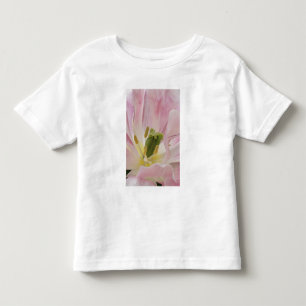 Tulip close-up, Keukenhof Gardens, Lisse, Toddler T-Shirt