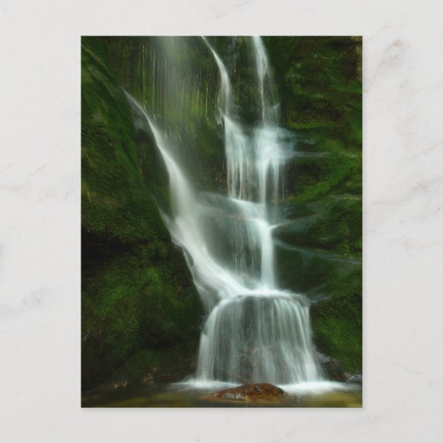 Tulip Creek Falls, Castlegar BC Postcard (Front)