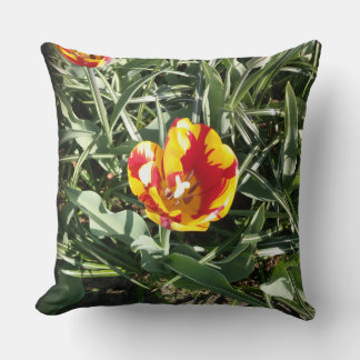 Tulip  cushion