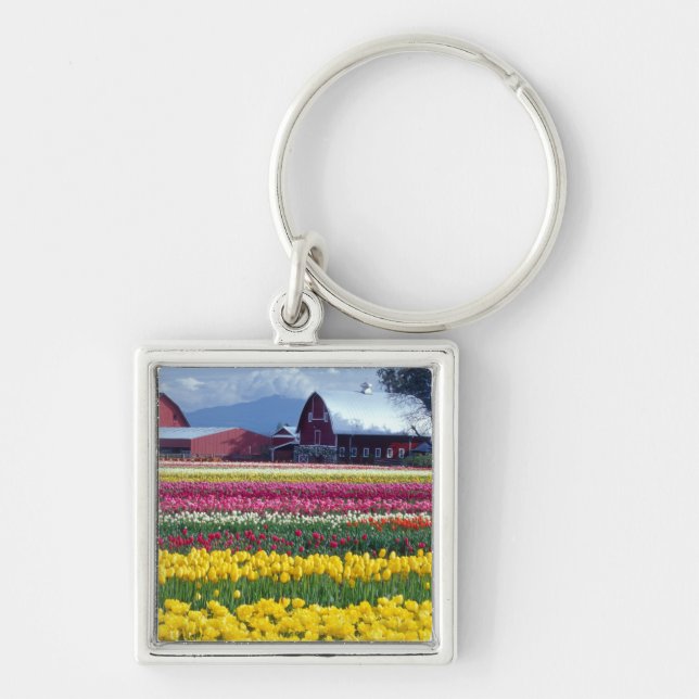 Tulip display field key ring (Front)