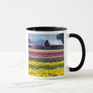 Tulip display field mug