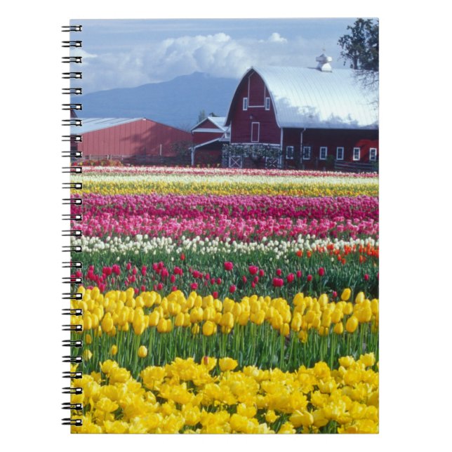 Tulip display field notebook (Front)