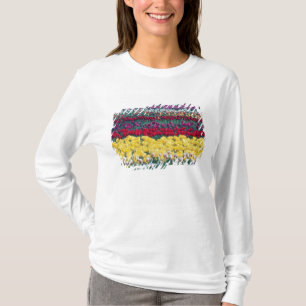 Tulip display garden in Skagit county, T-Shirt