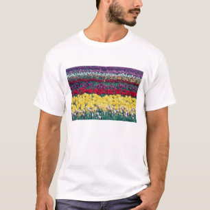 Tulip display garden in Skagit county, T-Shirt