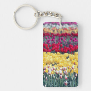 Tulip display garden in the Skagit valley, Key Ring