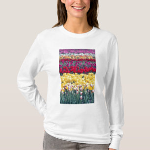 Tulip display garden in the Skagit valley, T-Shirt