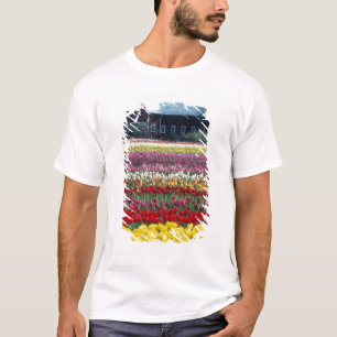 Tulip display garden, Skagit county, T-Shirt