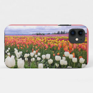 Tulip Farm iPhone 11 Case