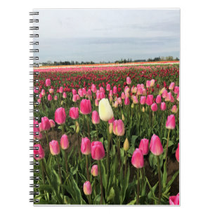 Tulip Farm in Oregon Notebook