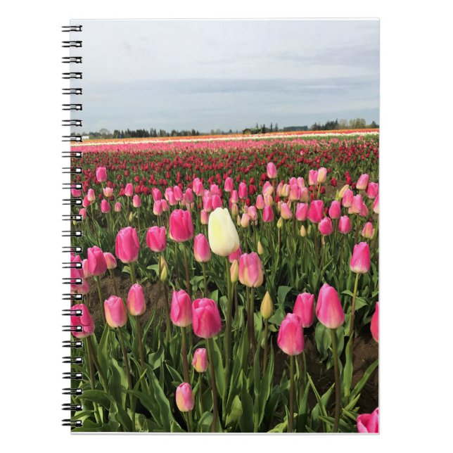 Tulip Farm in Oregon Notebook (Front)