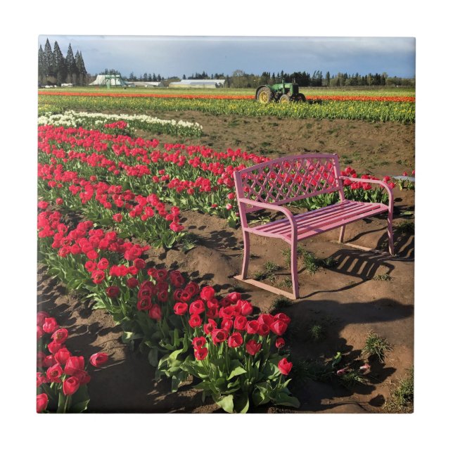 Tulip Farm in Oregon Tile (Front)