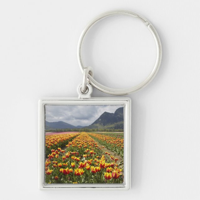 Tulip Farm near Agassiz, British Columbia, Key Ring (Front)