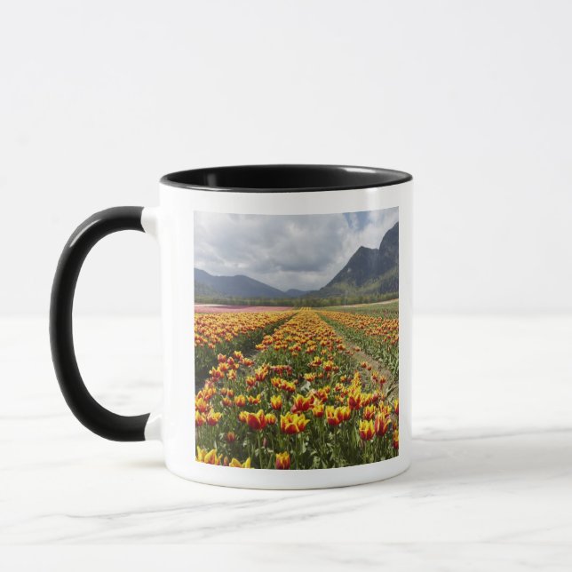 Tulip Farm near Agassiz, British Columbia, Mug (Left)