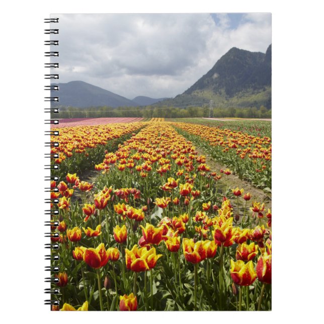 Tulip Farm near Agassiz, British Columbia, Notebook (Front)