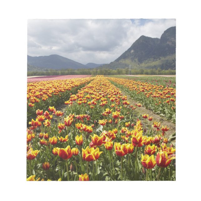 Tulip Farm near Agassiz, British Columbia, Notepad (Front)