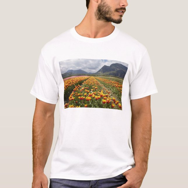 Tulip Farm near Agassiz, British Columbia, T-Shirt (Front)