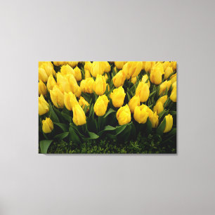 Tulip Festival - 27 Canvas Print