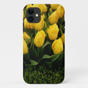 Tulip Festival - 27 IPhone 5/5S Cases