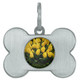 Tulip Festival - 27 Pet Name Tags