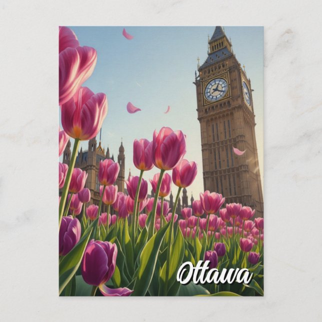 Tulip Festival in Ottawa Canada Travel Postcard (Front)