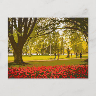 Tulip Festival in Ottawa Postcard