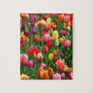 Tulip Festival Jigsaw Puzzle