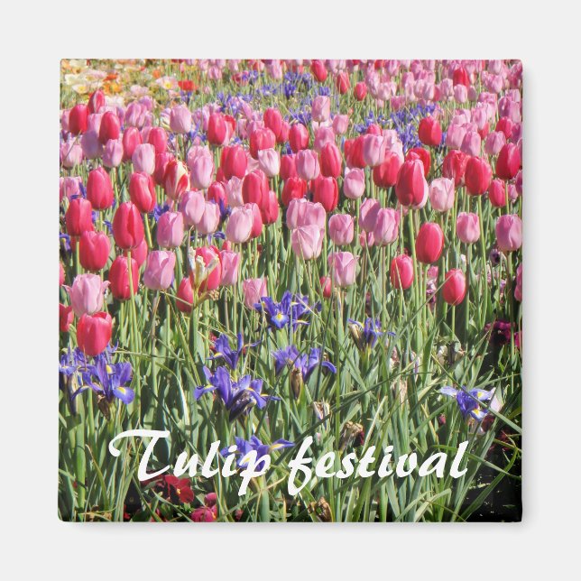 Tulip festival magnet (Front)