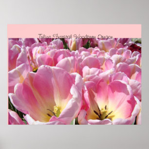 Tulip Festival Woodburn Oregon art prints posters
